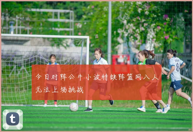 今日对阵公牛小波特缺阵篮网八人无法上场挑战