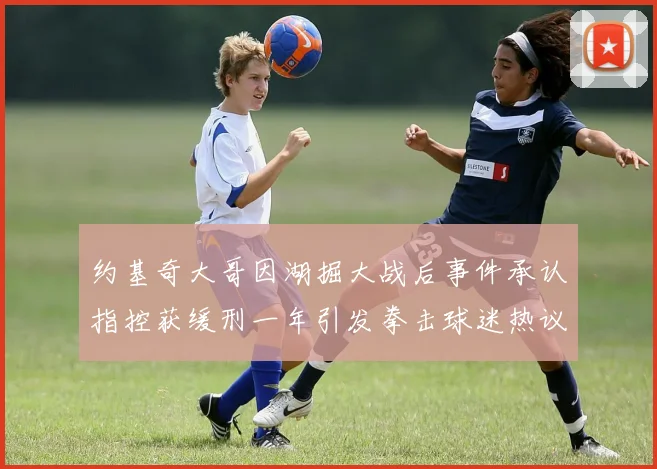 约基奇大哥因湖掘大战后事件承认指控获缓刑一年引发拳击球迷热议